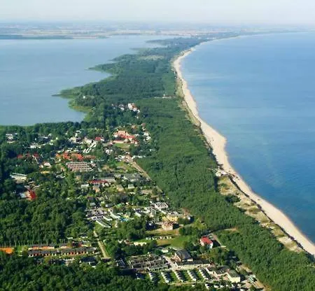 Verano * Osieki (Koszalin)