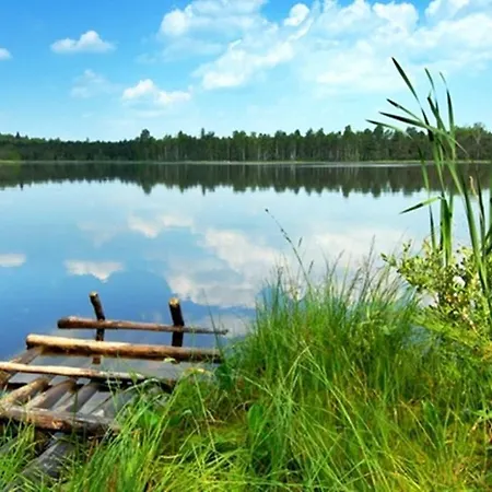 Verano * Osieki (Koszalin)