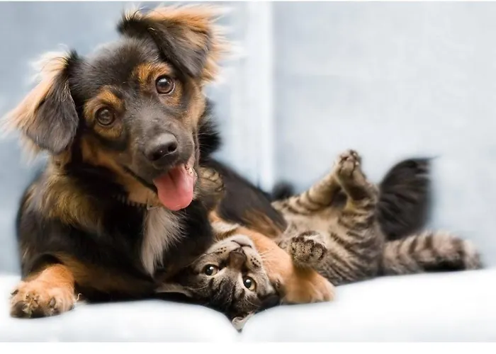 Gerendaház Verano Osieki